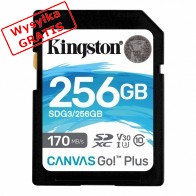 Karta pamięci KINGSTON SDG3/256GB-20