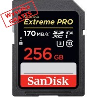 Karta pamięci SANDISK SDSDXXY-256G-GN4IN-20